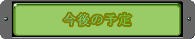 今後の予定
